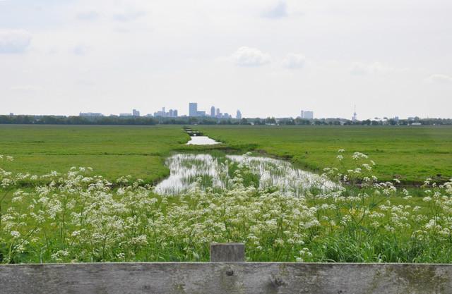 Bike tour through the landscape off the north fringe of Rotterdam