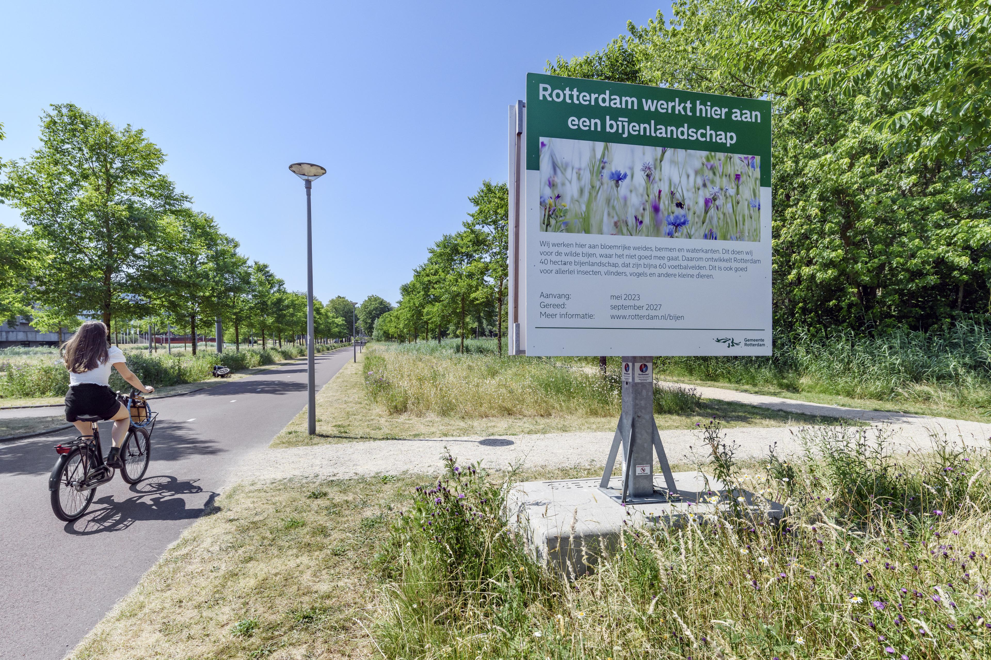 Bike Tour through the Bee Landscape of Rotterdam
