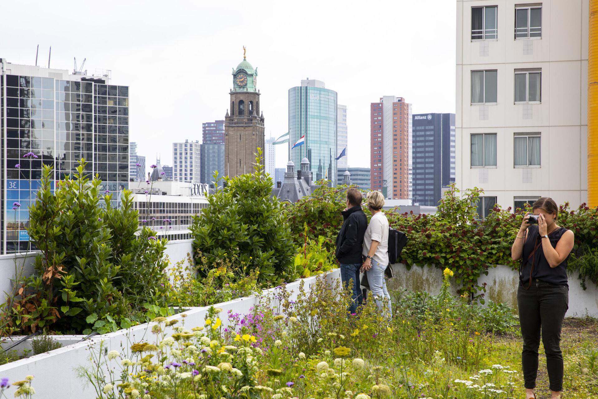 Meet the Rooftopfarmer
