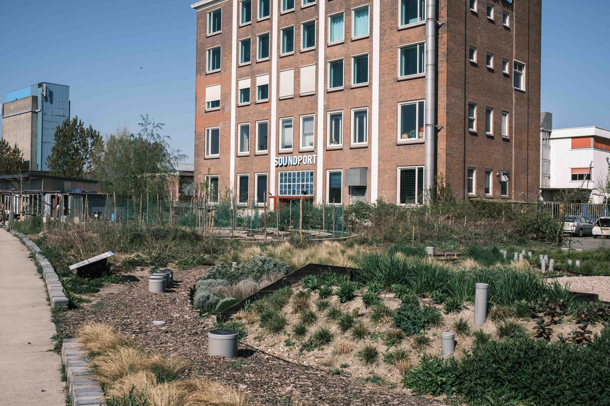 Gardening with permaculture principles
