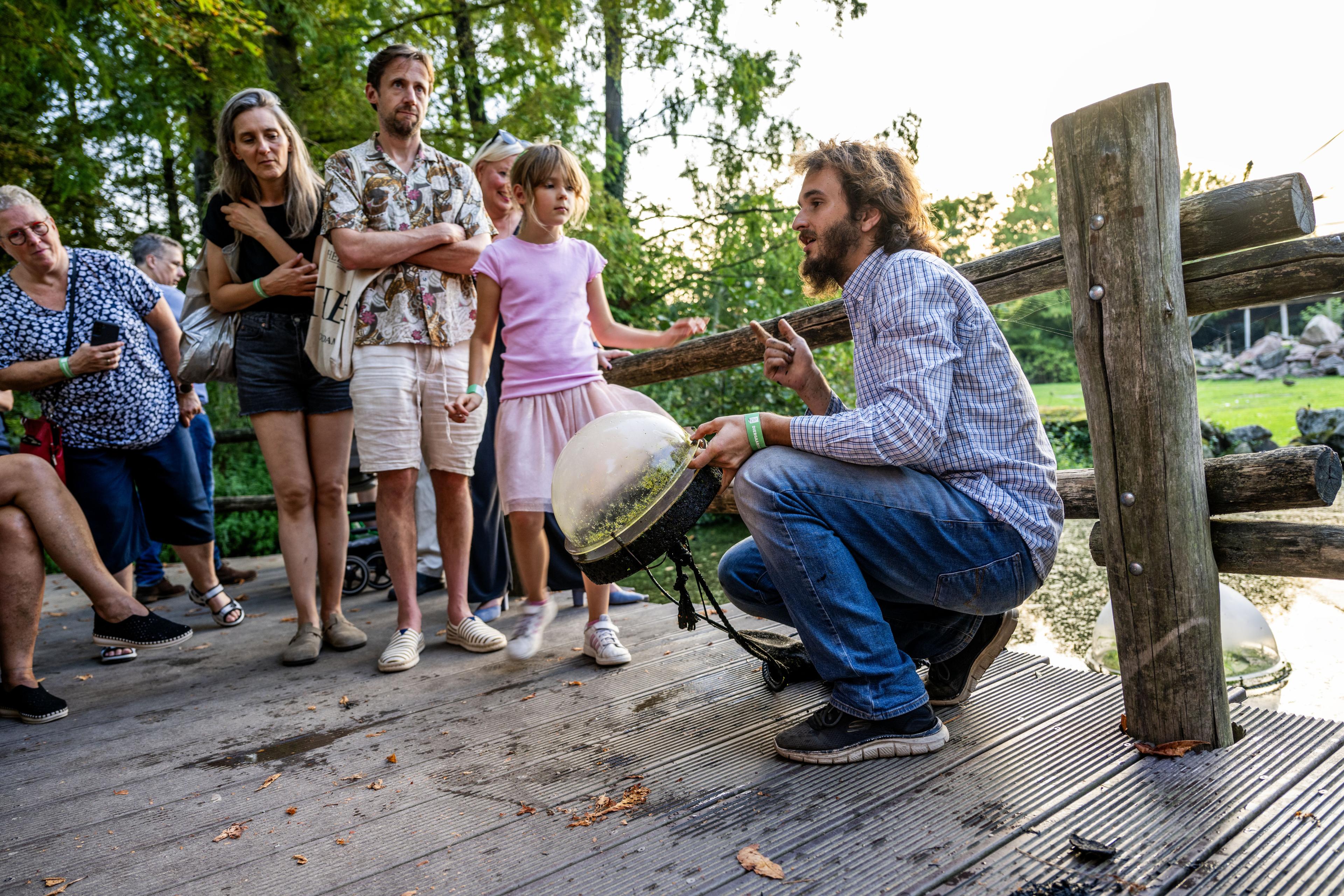 Urban Nightlife: Exploring Darkness and Biodiversity