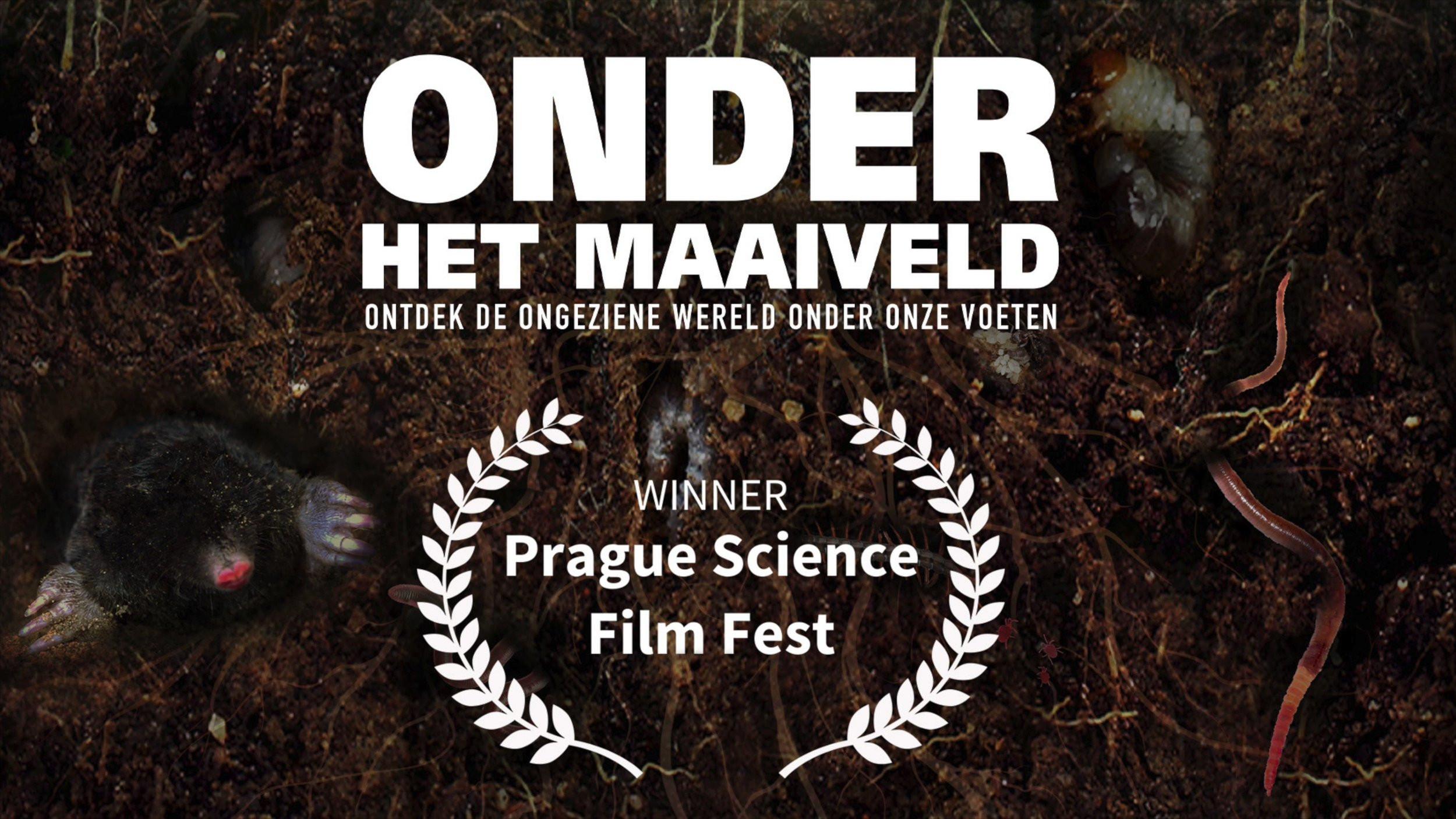 Onder het maaiveld - Below ground level