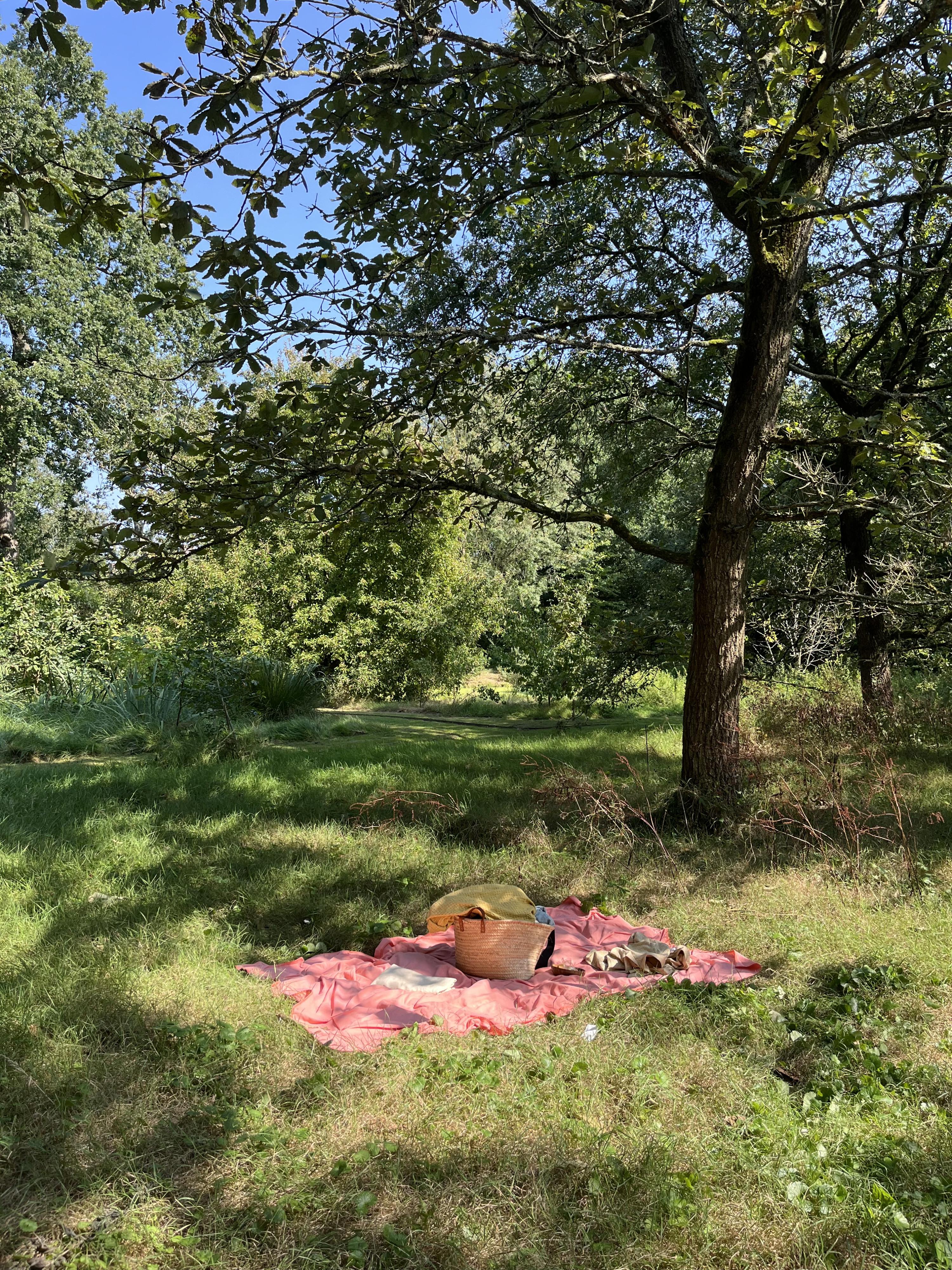 Dating an ecosystem