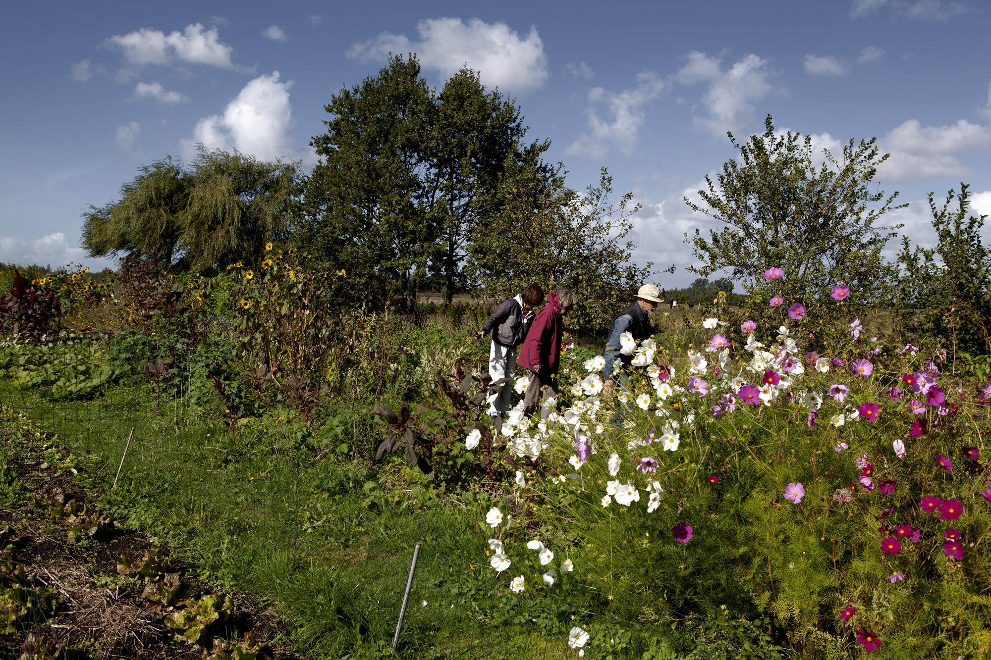 Walk with us in the Lutkemeerpolder: a Lutkemeer walk full of Hope!