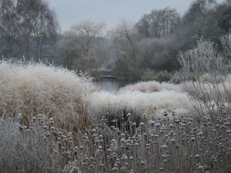 Pensthorpe Garden, ontwerp Piet Oudolf, Fakenham, Engeland. Foto: Imogen Checketts