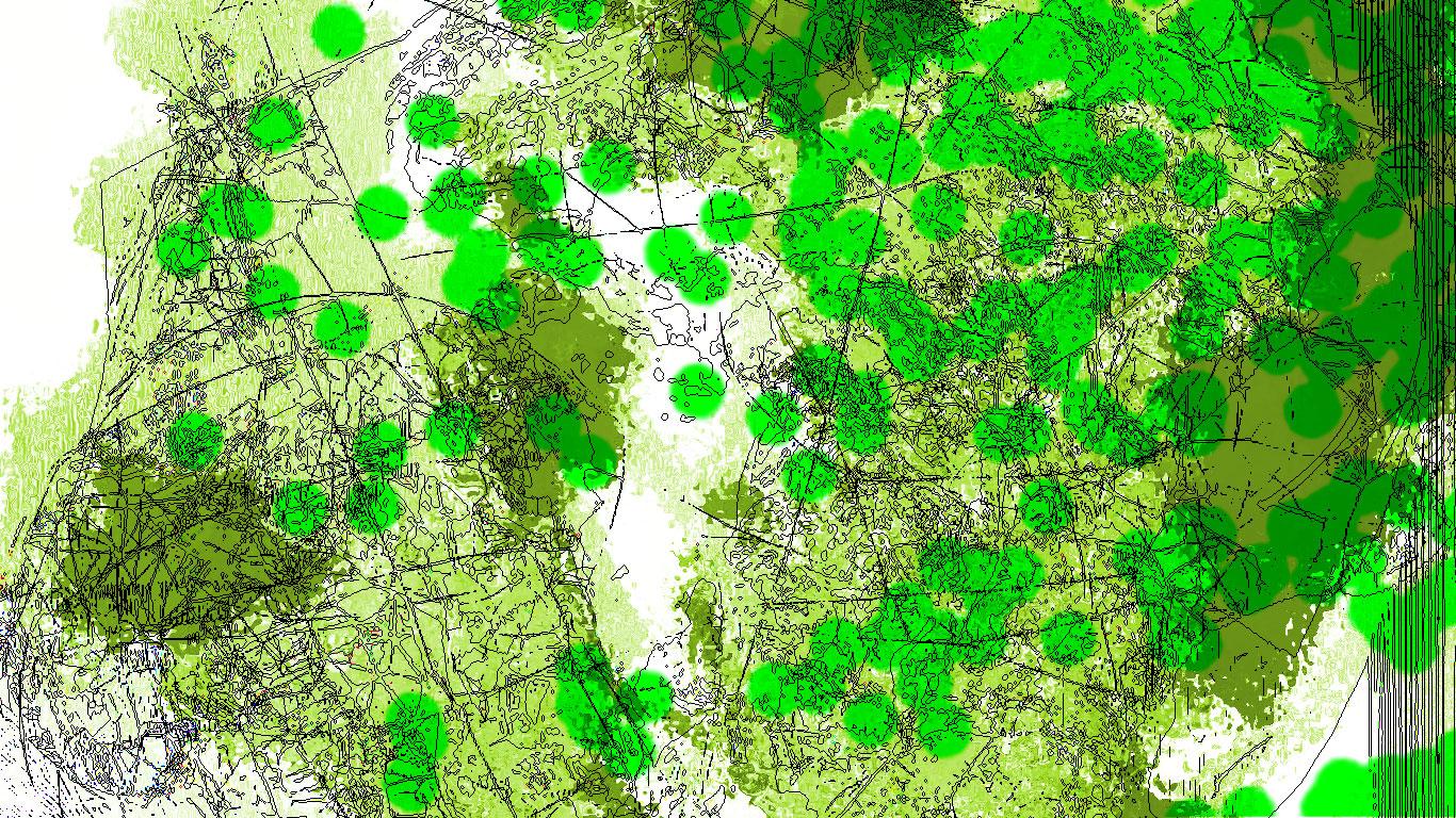 Image: Patricia Reed