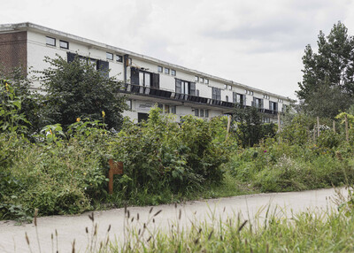 Welcoming Wednesday #13