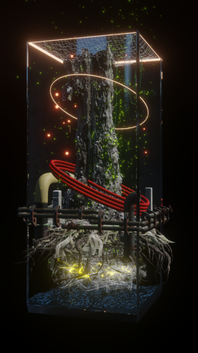 Academic Workshop Soil - TIME