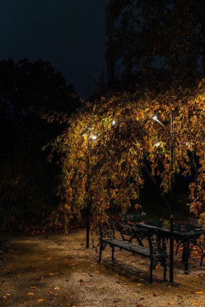 Night Walk in Trompenburg