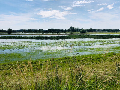 Plekberaad bioregionale bouw Deventer