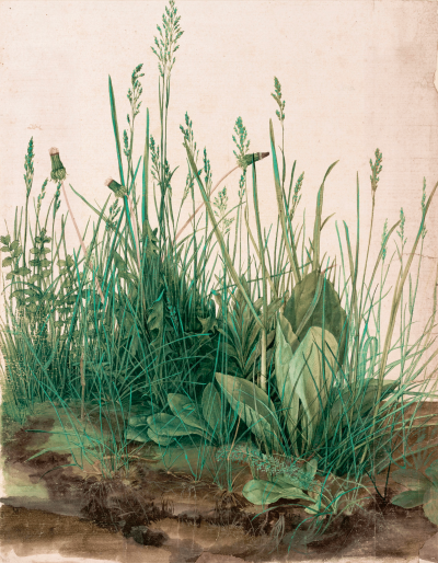 Clemens Driessen - Das gro&szlig;e Rasenst&uuml;ck [The Large Piece of Turf / De grote Graszode]