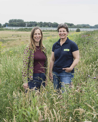 De belevenisboerderij Schieveen