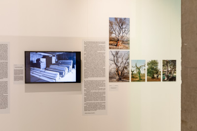 Jane Mah Hutton - Reciprocal Landscapes