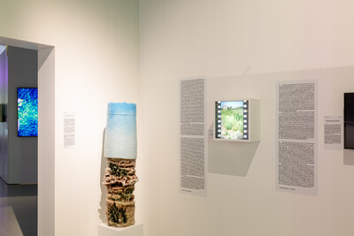 Matthew Gandy - Botanical Study Site