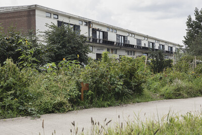 Nieuwe leden Raad van Toezicht IABR