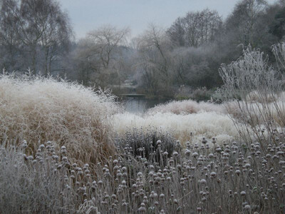 Pensthorpe Garden, ontwerp Piet Oudolf, Fakenham, Engeland. Foto: Imogen Checketts