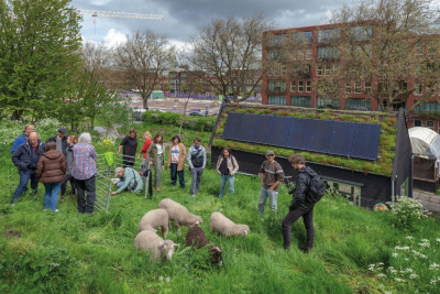 Gedeelde Grond: Buurttuin Dakpark
