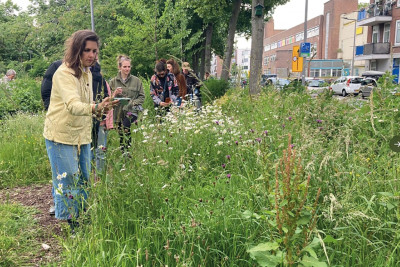 Gedeelde Grond: Creatief Beheer (Park 1943)