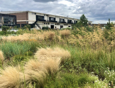 De Sponstuin van De Urbanisten. Foto: IABR